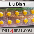 Liu Bian new11
